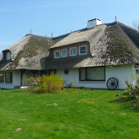 Teewelkenhues Wiesenappartement Archsum エクステリア 写真